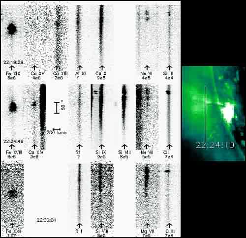 SUMER - Spectral Analysis of Flare