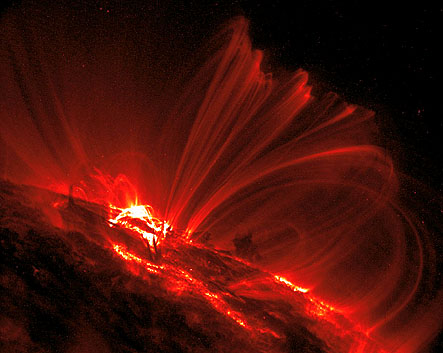 The Sun - TRACE Image