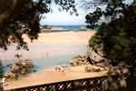 View of Beach from Hotel Gardens - full size=44K